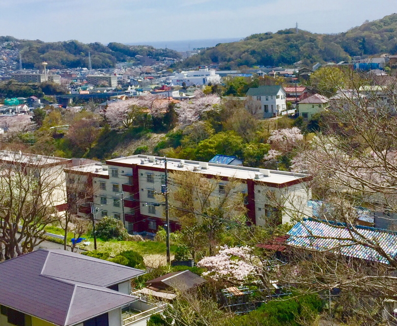 二宮町「ここからの景色が好き」シリーズ②